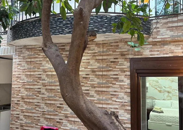 Boutique Princesa Maison d'hôtes Marbellac