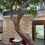 Boutique Princesa Guest house Marbella